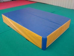 1 gros tapis de réception